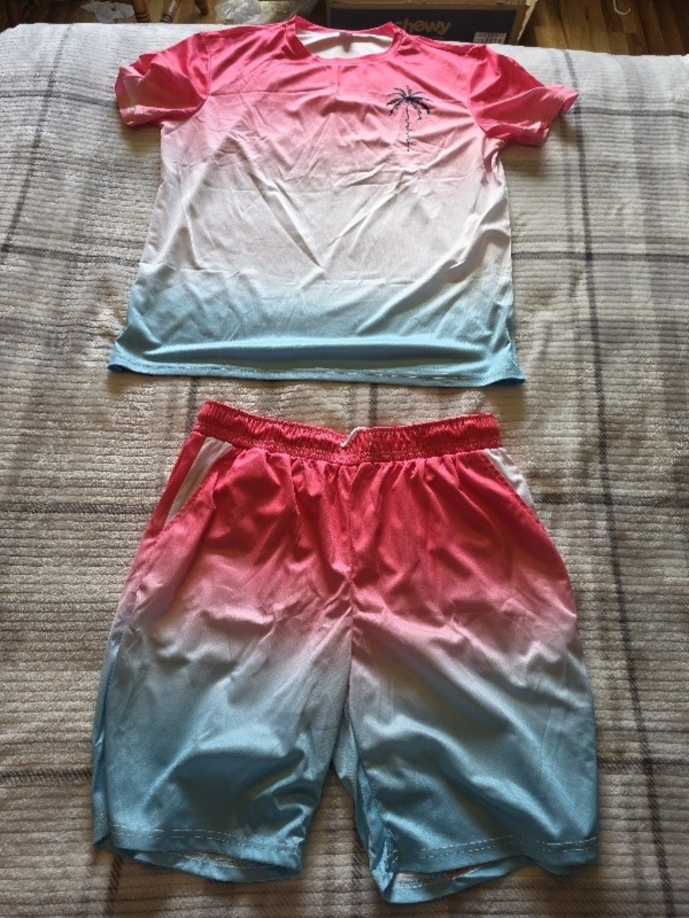 Men's Pink to Blue Ombre Palm Tee and Shorts Set